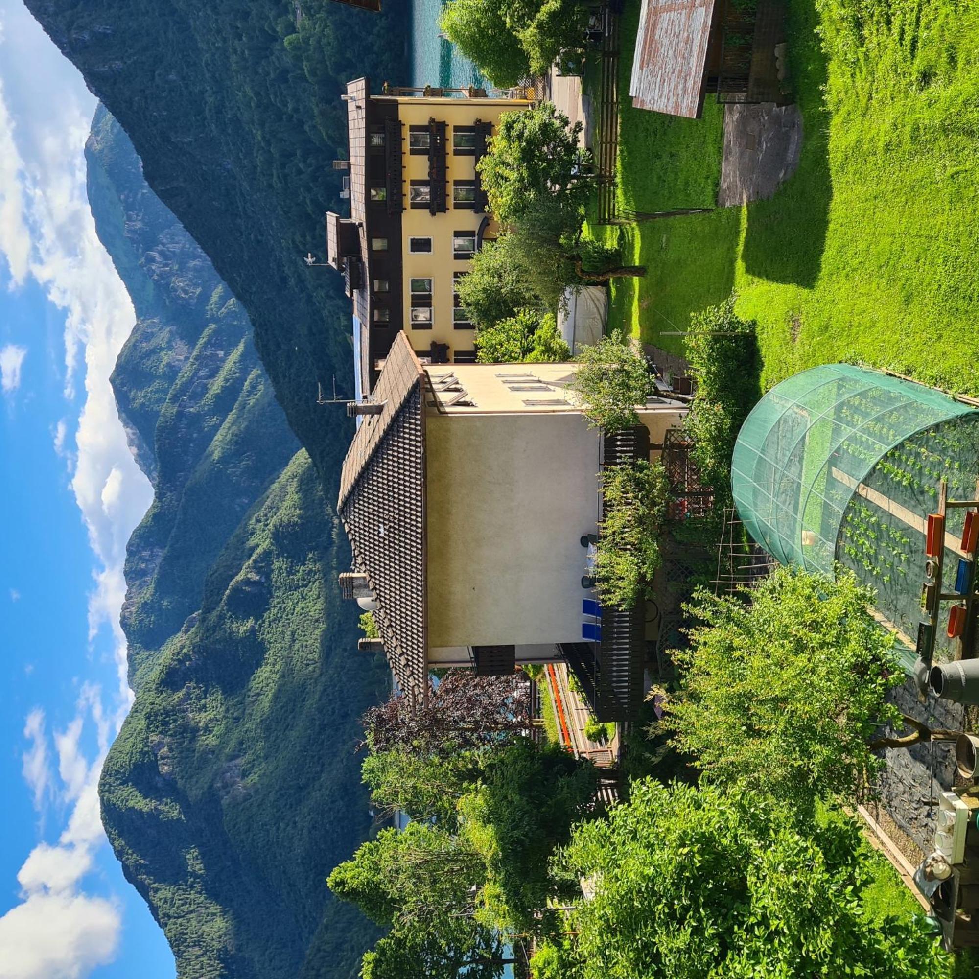 Апартаменти Bioledro Casa Lena Меццолаго Екстер'єр фото